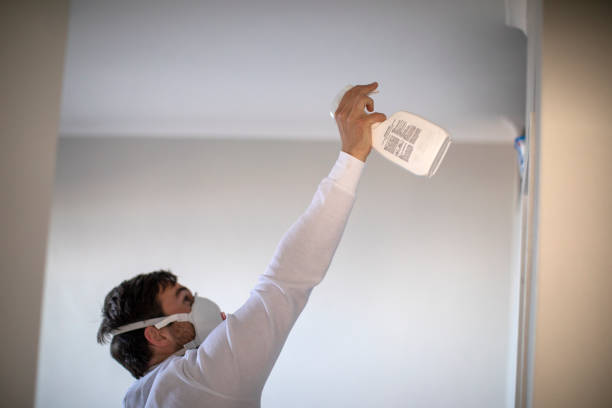Reliable Schiller Park, IL Mold Removal Solutions