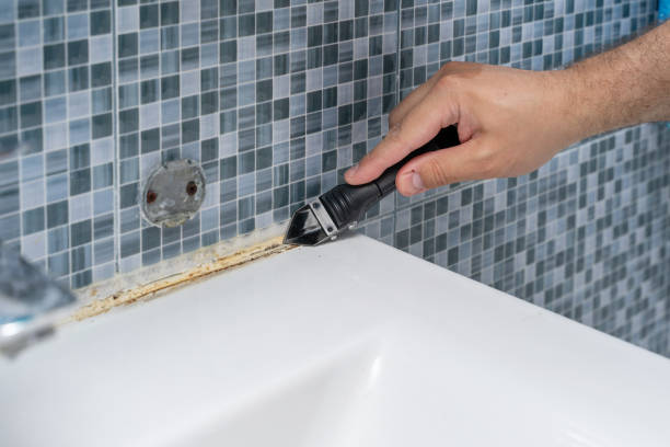 Office Mold Removal Services in Schiller Park, IL